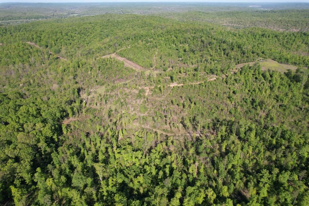 Piedmont, Wayne County, MO Recreational Property, Timberland Property