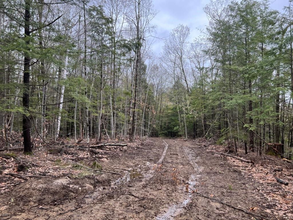 Hillsborough, Hillsborough County, NH Farms and Ranches for sale