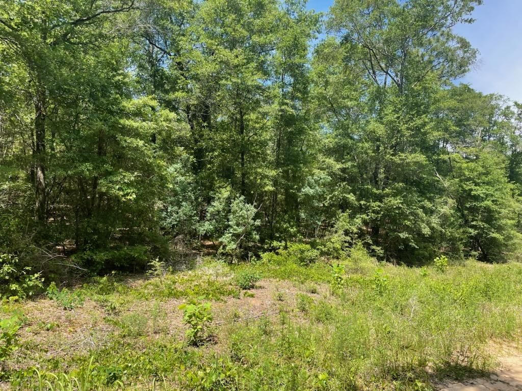 Citronelle, Mobile County, AL Timberland Property, Undeveloped Land, Commercial Property for