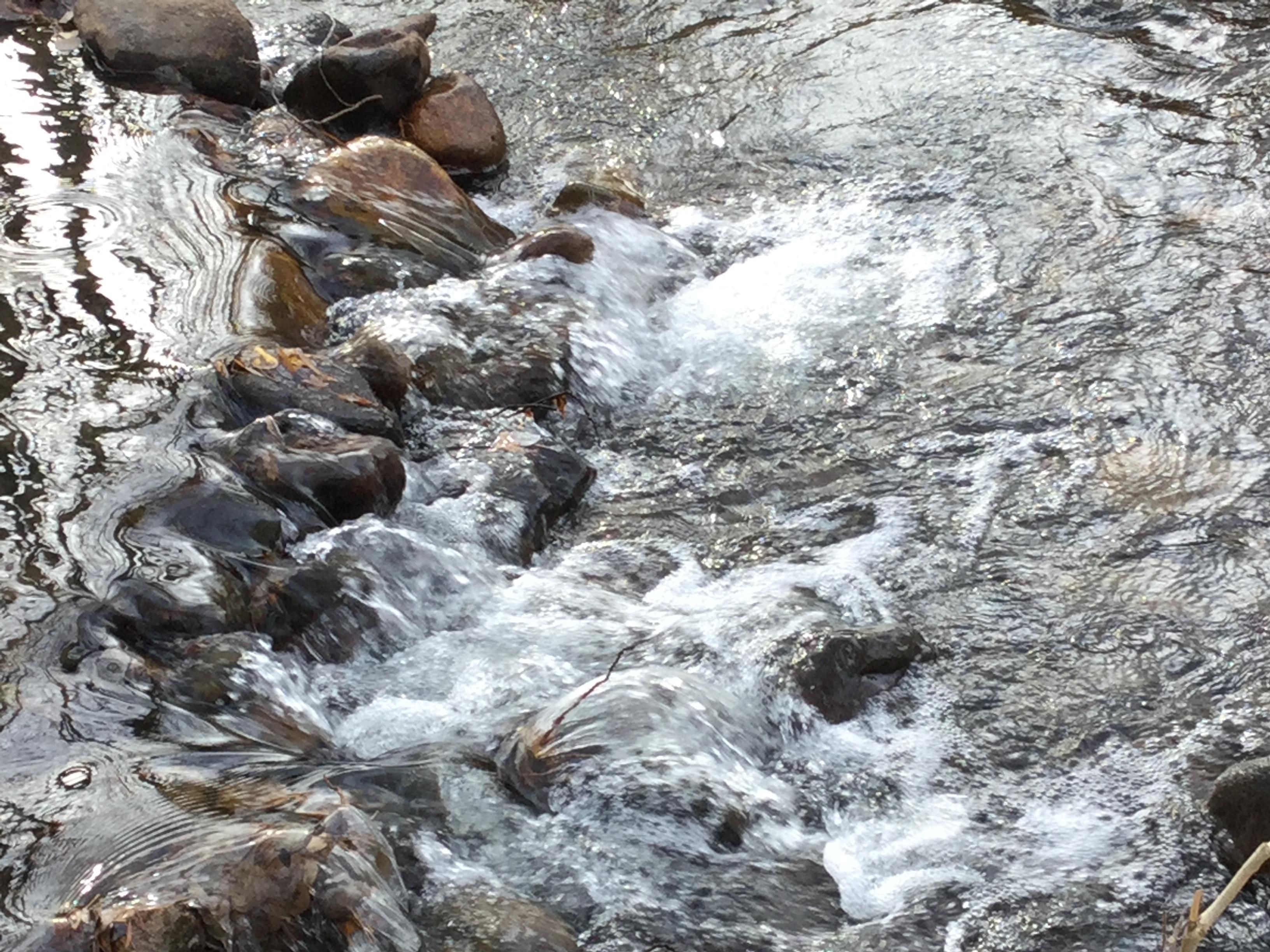 41.32 acres in Bridgeport, CA, 93517 MLS Exclusive LandWatch