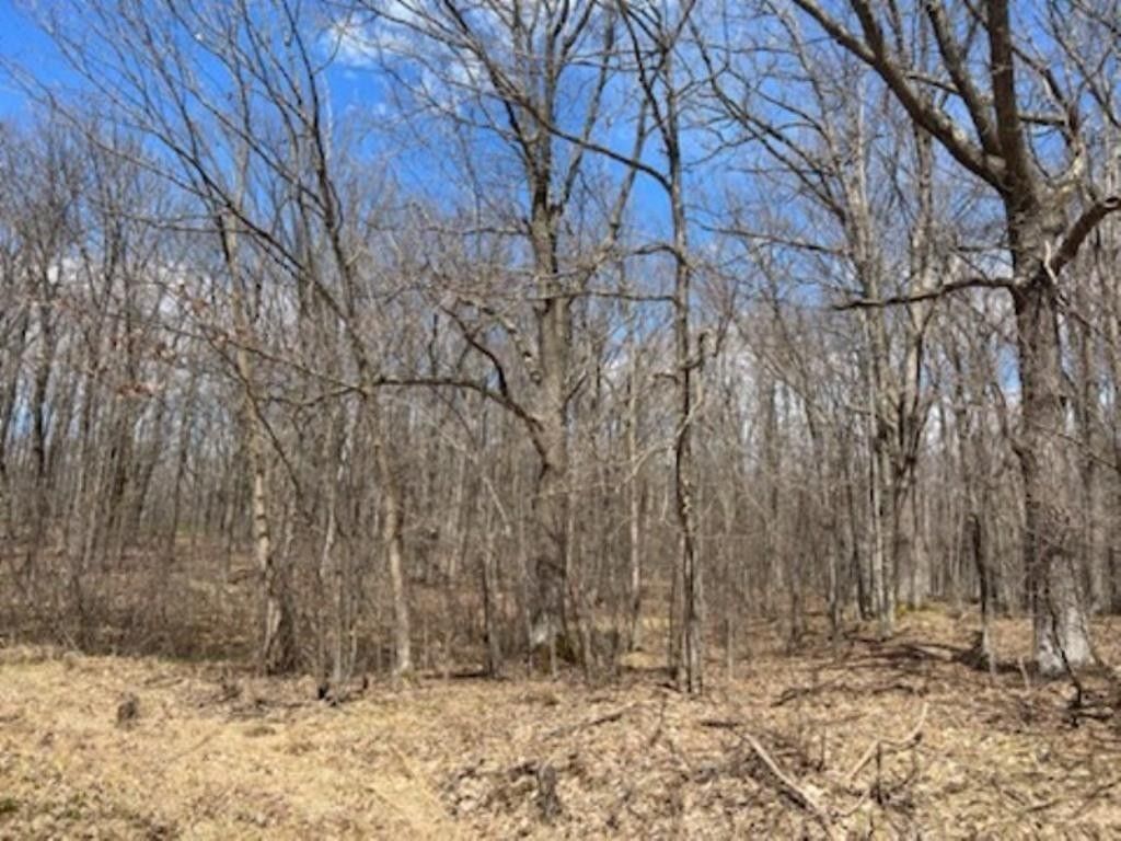 Barron County, WI Undeveloped Land, Homesites for sale