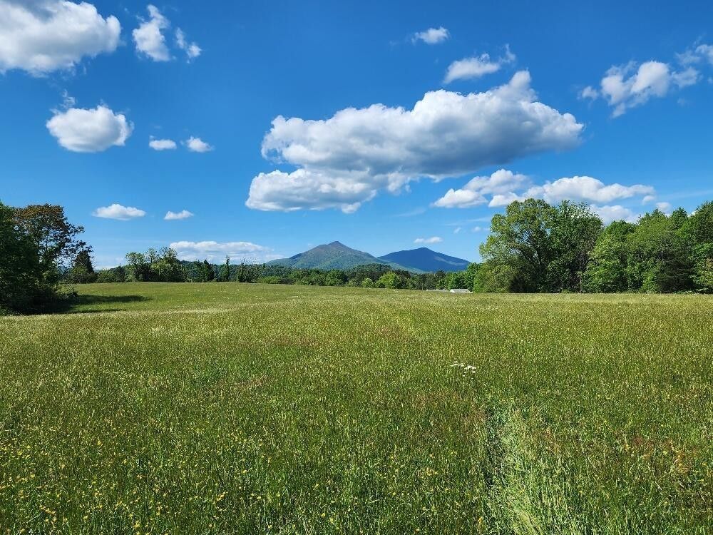 Thaxton, Bedford County, VA Undeveloped Land for sale Property ID 416248832 LandWatch