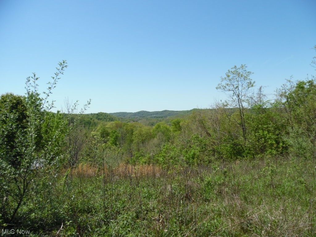 Walker, Wood County, WV Undeveloped Land for sale Property ID