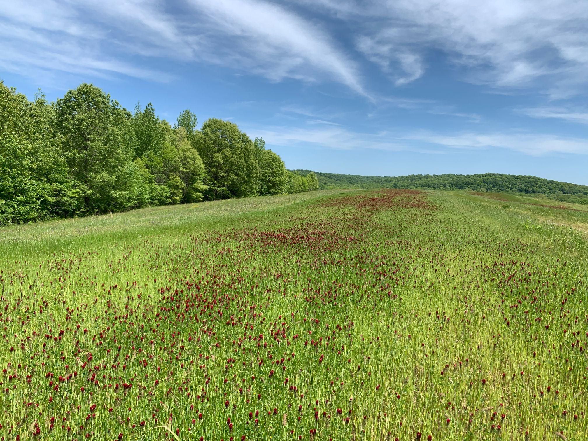 Dover, Stewart County, TN Farms and Ranches, Recreational Property