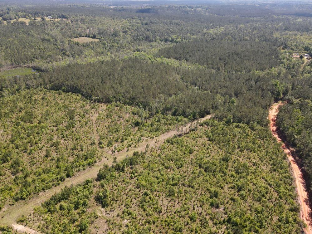 Thirteen Road, Leakesville, MS 39451 LandWatch