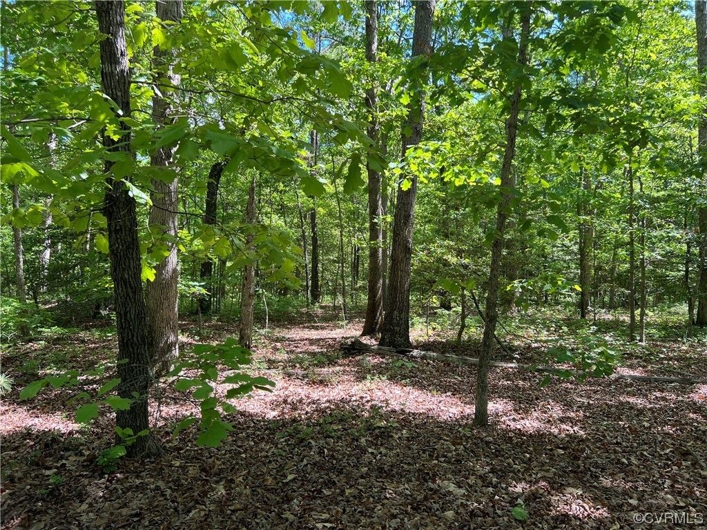 Charles City, Charles City County, VA Farms and Ranches, Homesites for