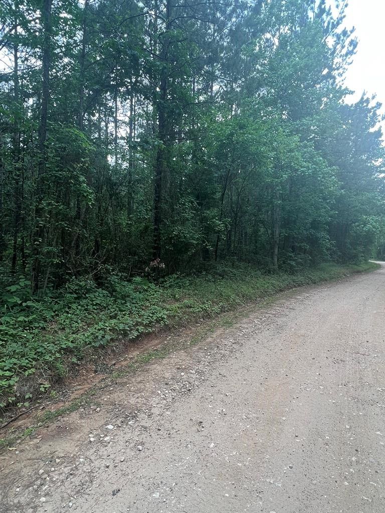 Pollok, Angelina County, TX Farms and Ranches, Homesites for sale