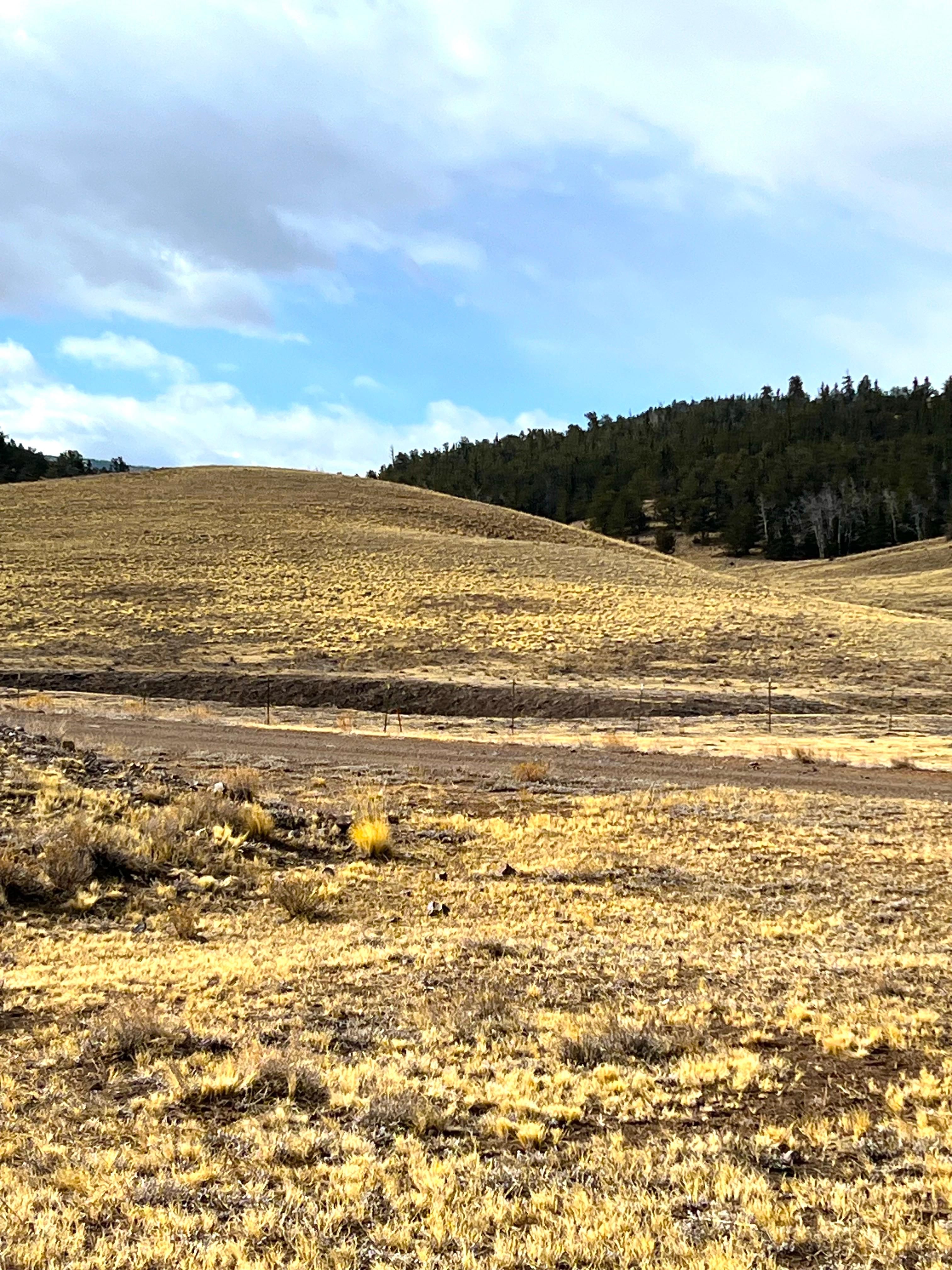 Hartsel, Park County, CO Undeveloped Land for sale Property ID