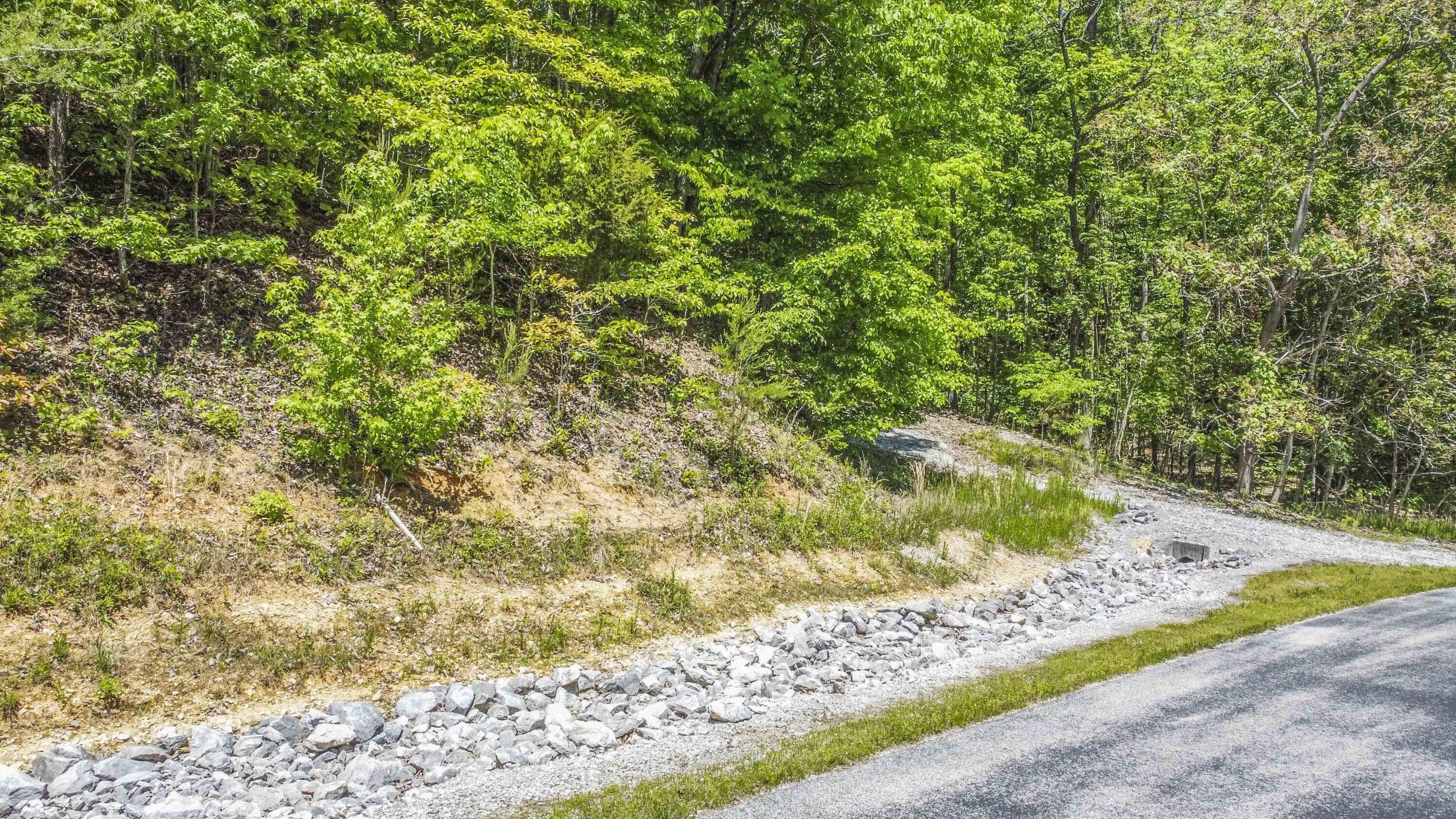 Rockwood, Roane County, TN Undeveloped Land, Homesites for sale