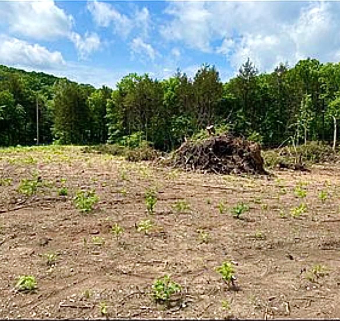 Desoto, Jefferson County, MO Undeveloped Land, Homesites for sale