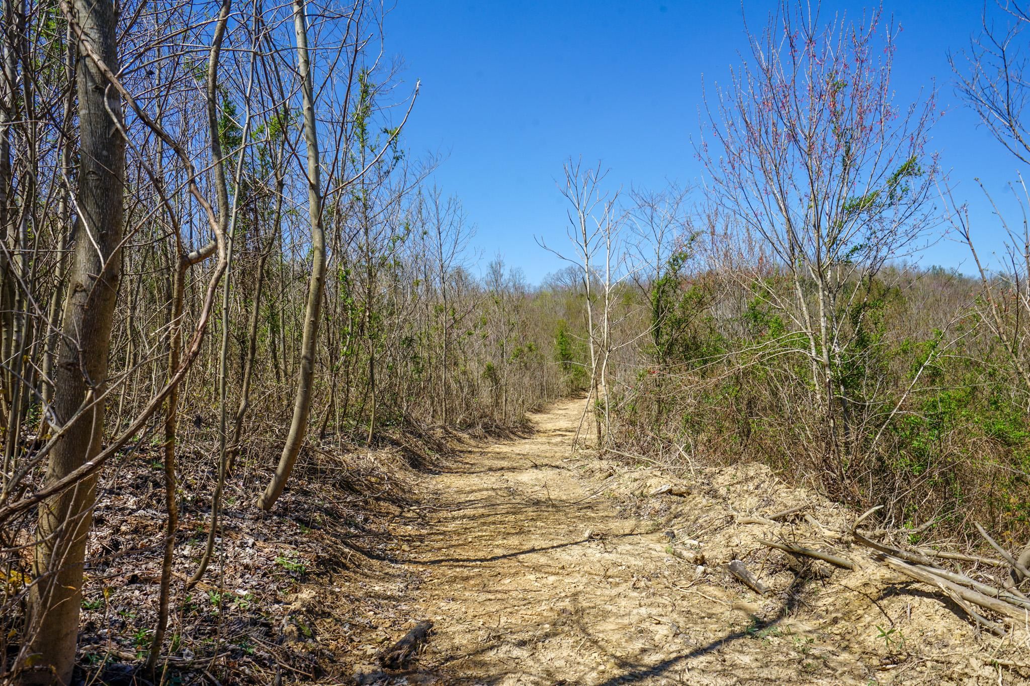 Wilkesville, Vinton County, OH Farms and Ranches for sale Property ID