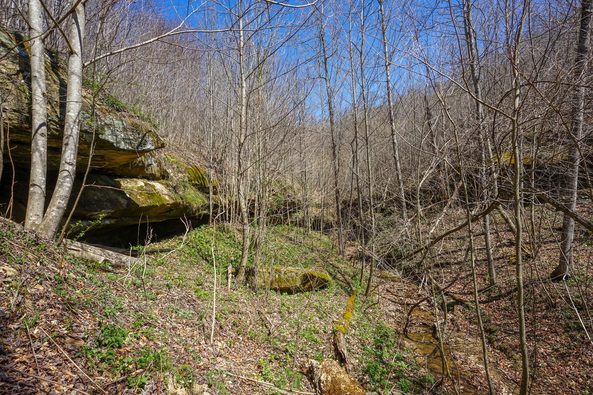 Wilkesville, Vinton County, OH Farms and Ranches for sale Property ID