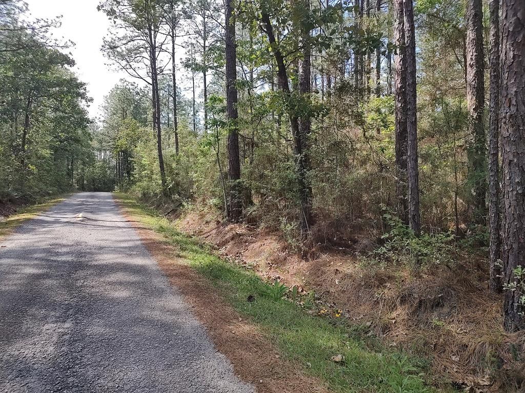 Poplarville, Pearl River County, MS Undeveloped Land, Homesites for