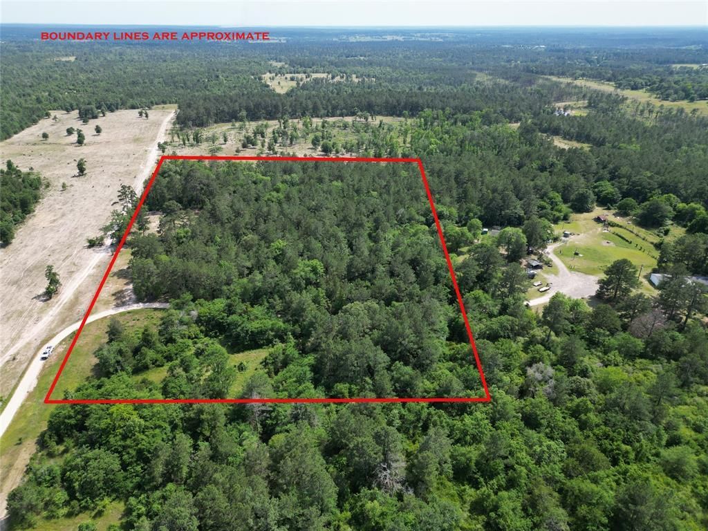 Bedias, Walker County, TX Farms and Ranches, Horse Property for sale