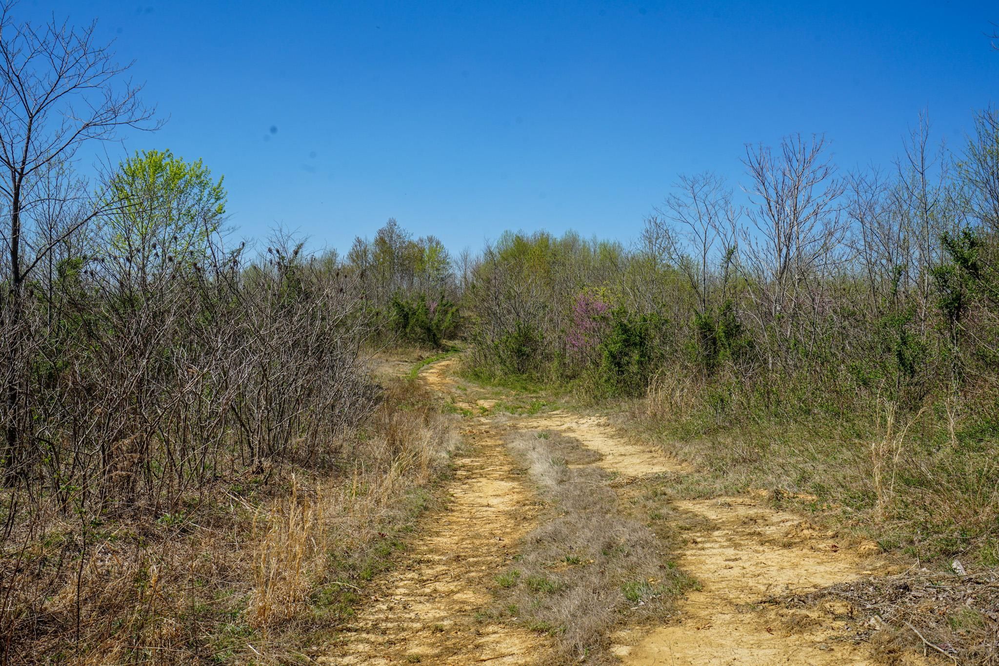 Wilkesville, Vinton County, OH Farms and Ranches for sale Property ID