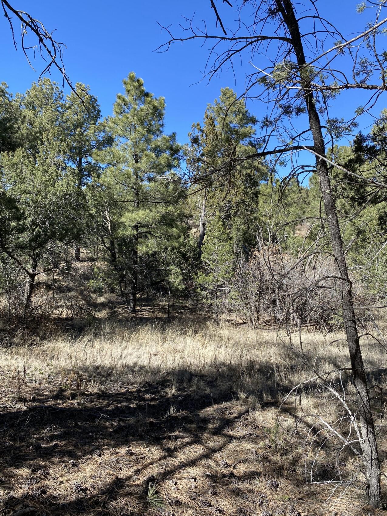 Timberon, Otero County, NM Recreational Property, Homesites for sale