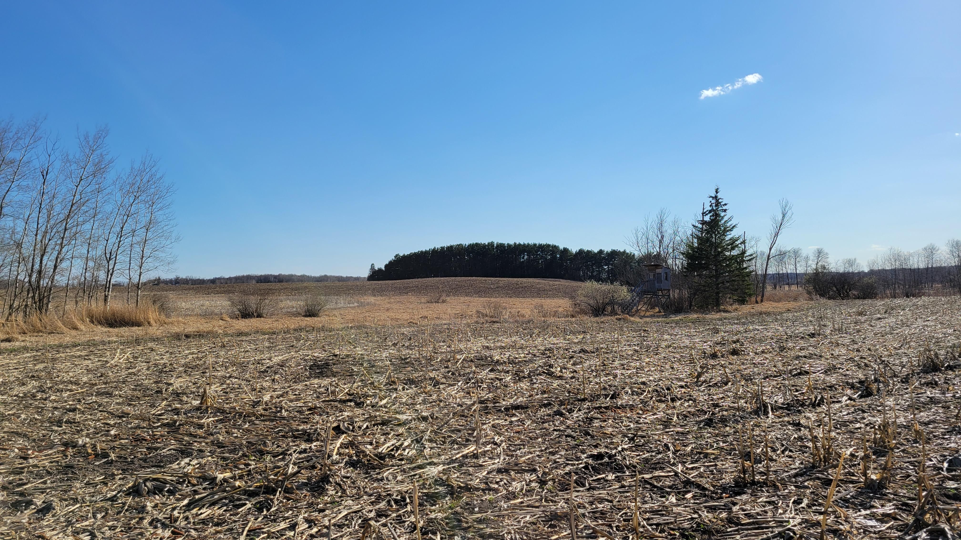 Perham, Otter Tail County, MN Recreational Property, Undeveloped Land, Hunting Property