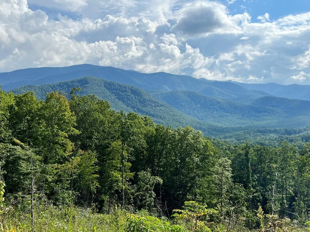 Cosby, Cocke County, TN Farms and Ranches for sale Property ID