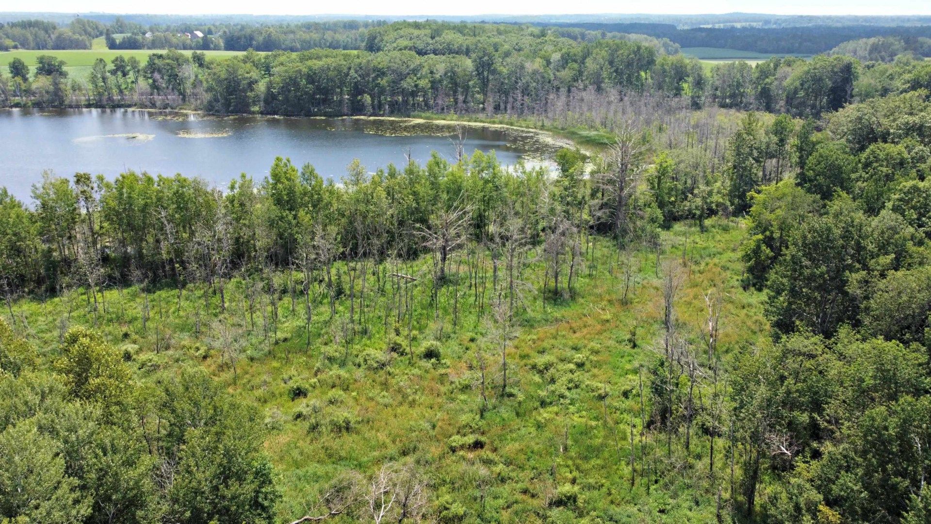 Vulcan, Dickinson County, MI Undeveloped Land for sale Property ID