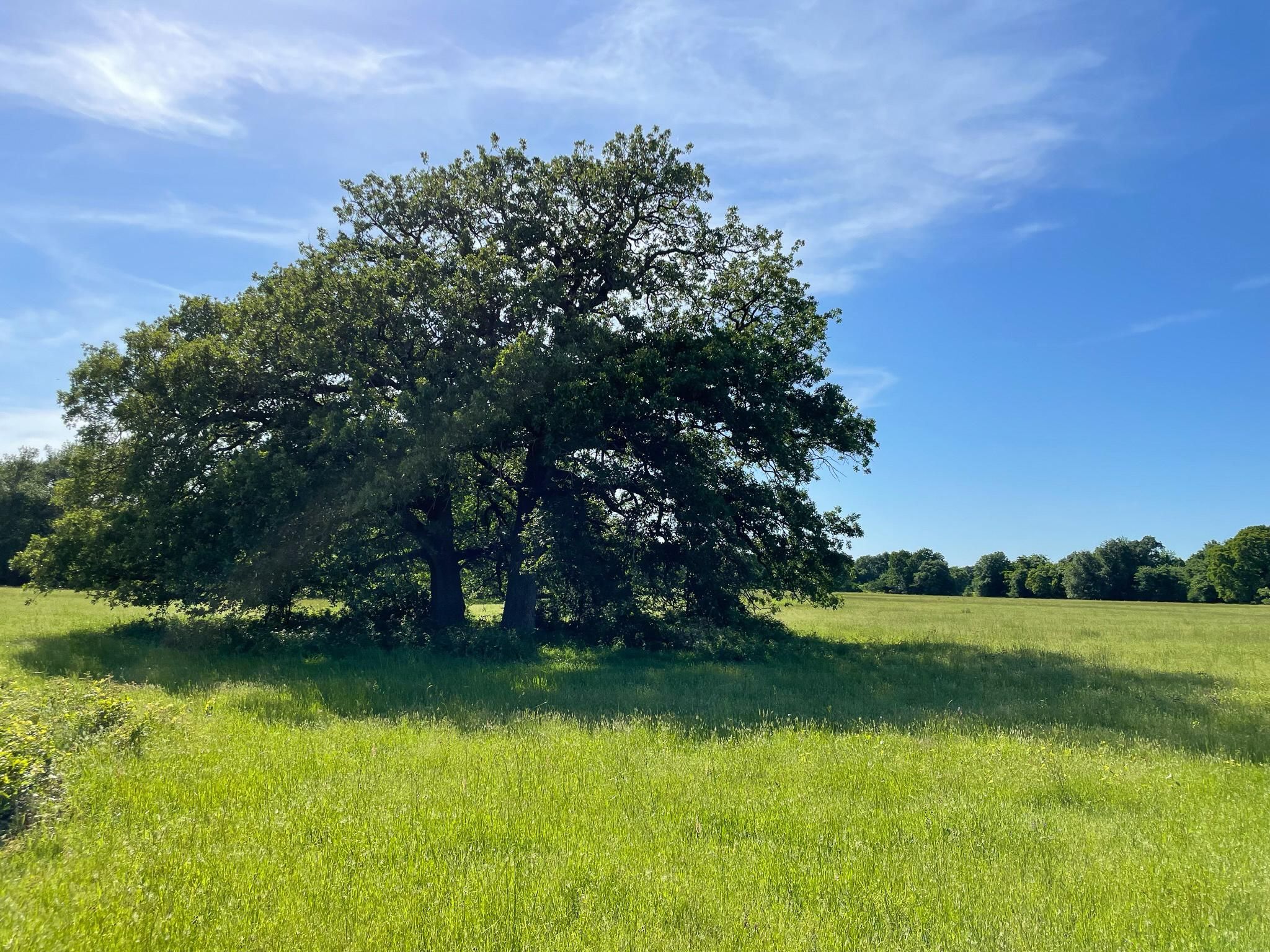 Seven Points, Henderson County, TX Farms and Ranches, Recreational