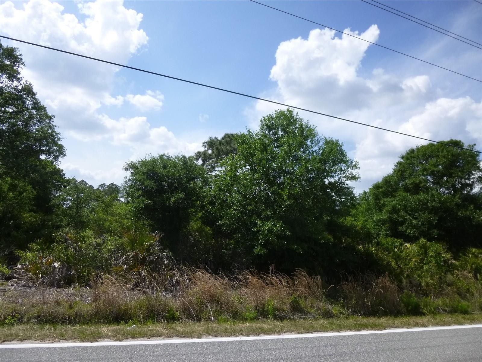 Frostproof, Polk County, FL Farms and Ranches, Homesites for sale