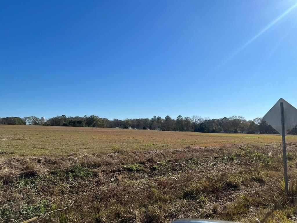 Geneva County, AL Lakefront Property, Waterfront Property