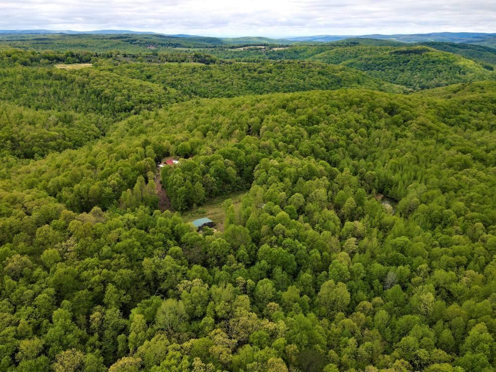 Jerusalem, Van Buren County, AR Recreational Property, Timberland Property, Hunting Property