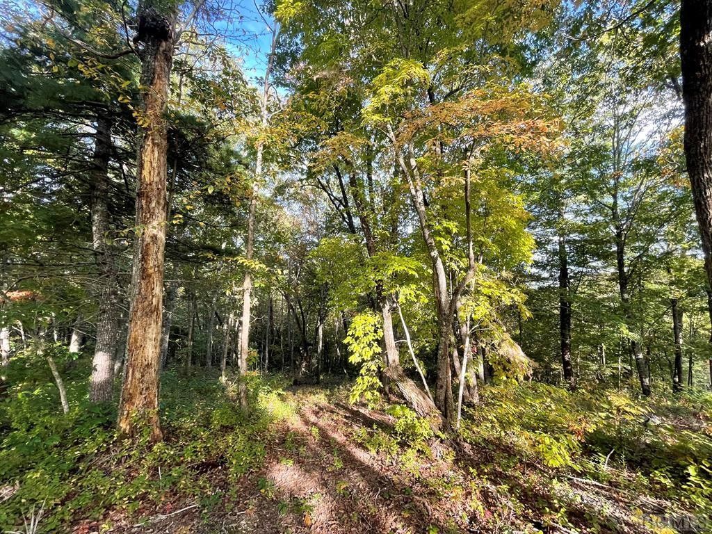 Cullowhee, Jackson County, NC Farms and Ranches, Homesites for sale