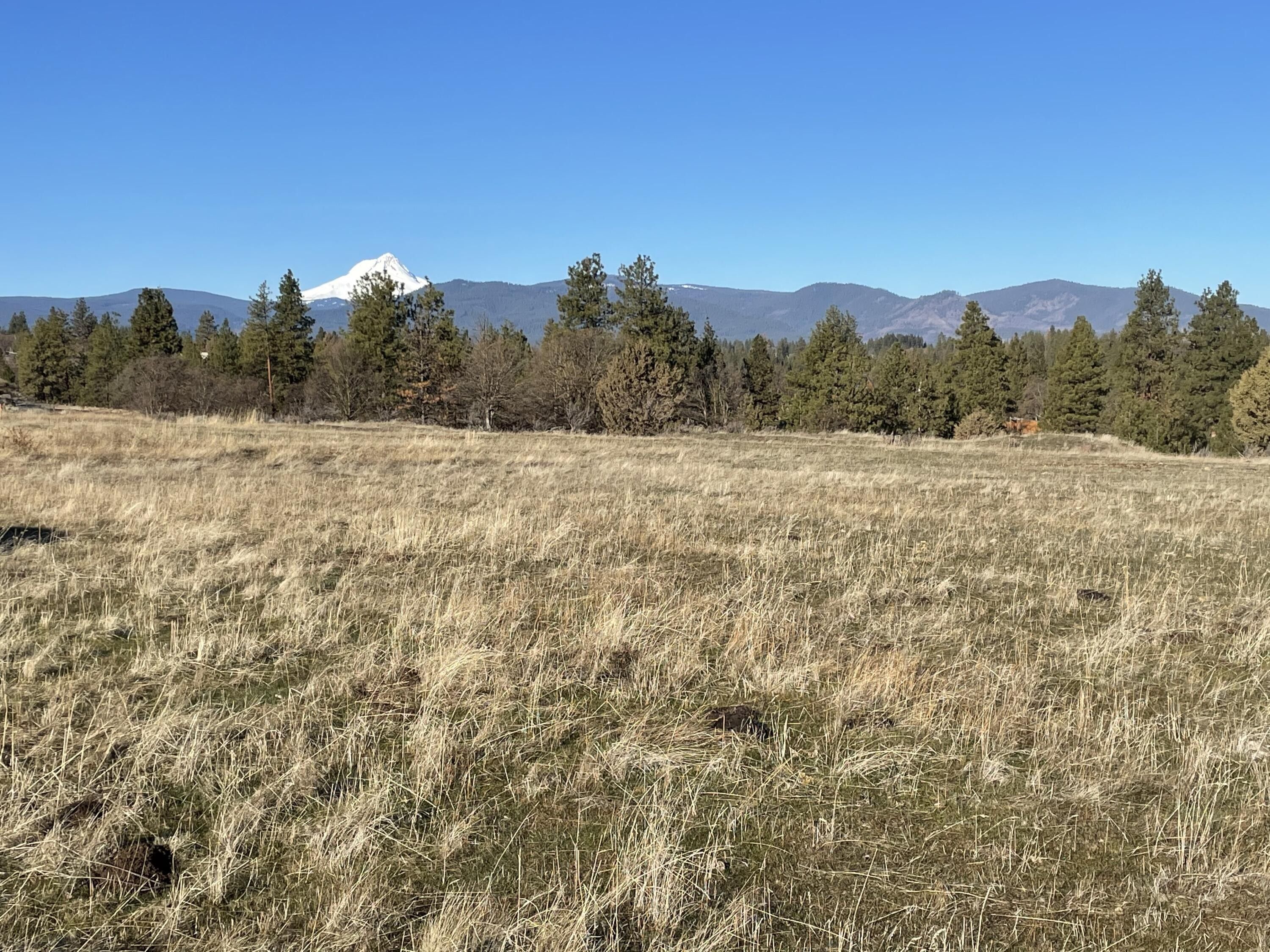 Tygh Valley, Wasco County, OR Farms and Ranches for sale Property ID