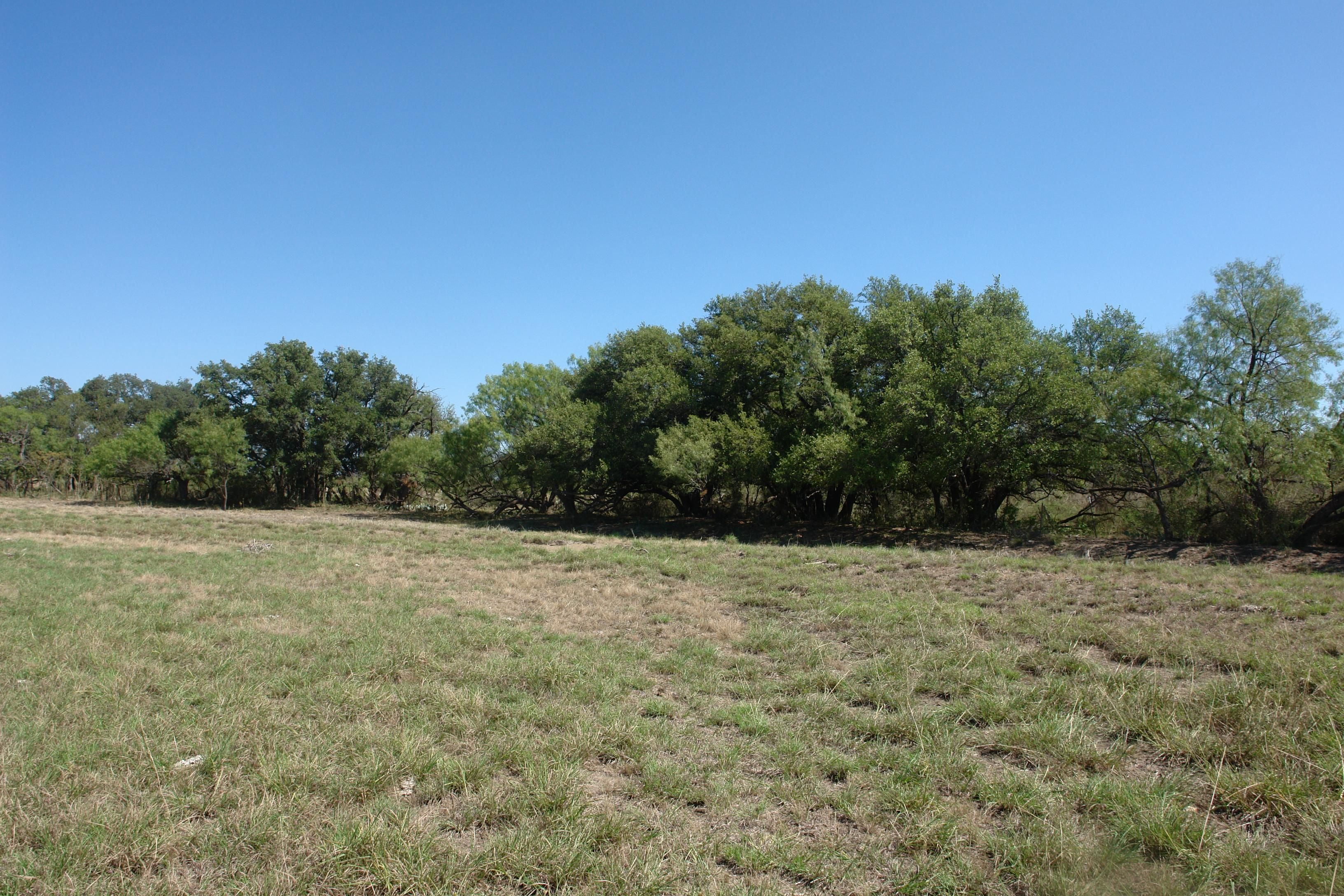 Bangs, Brown County, TX Farms and Ranches, Recreational Property