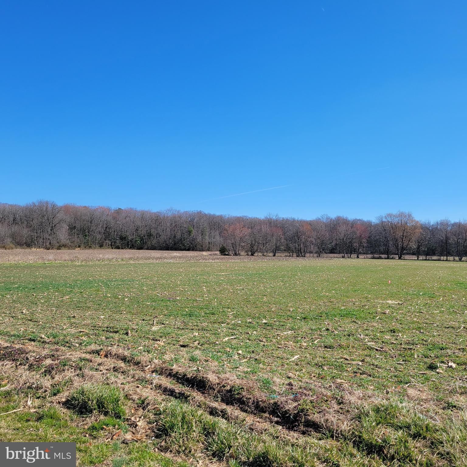 Harrington, Kent County, DE Farms and Ranches, Homesites for sale