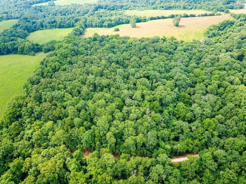 Clever, Stone County, MO Recreational Property, Timberland Property, Hunting Property for sale