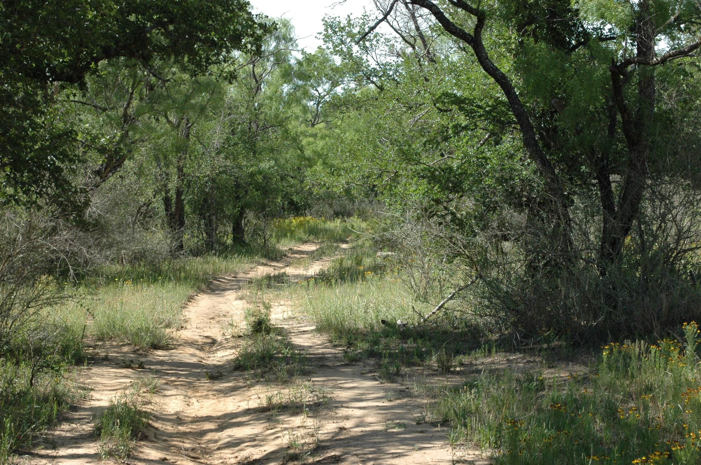 Richland Springs, San Saba County, TX Farms and Ranches, Recreational