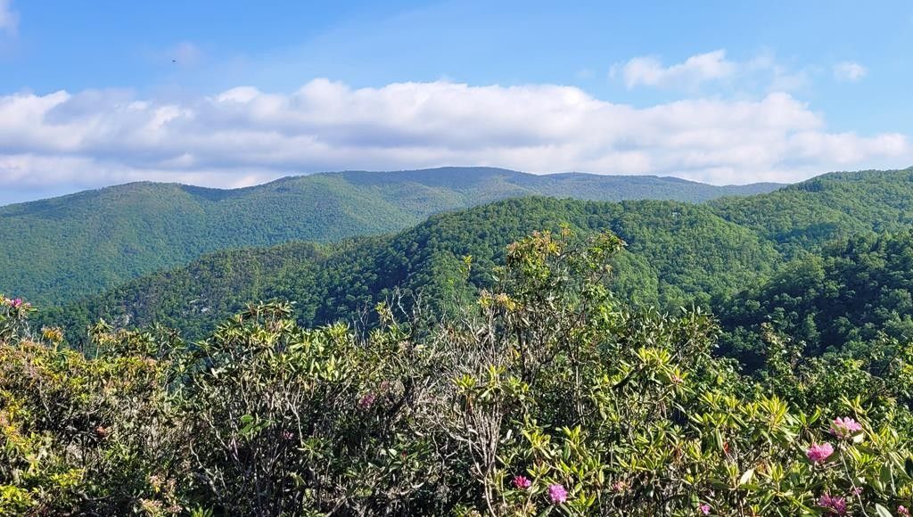 400 Bearwallow Ridge Trail, Maggie Valley, NC 28751 MLS 26030398