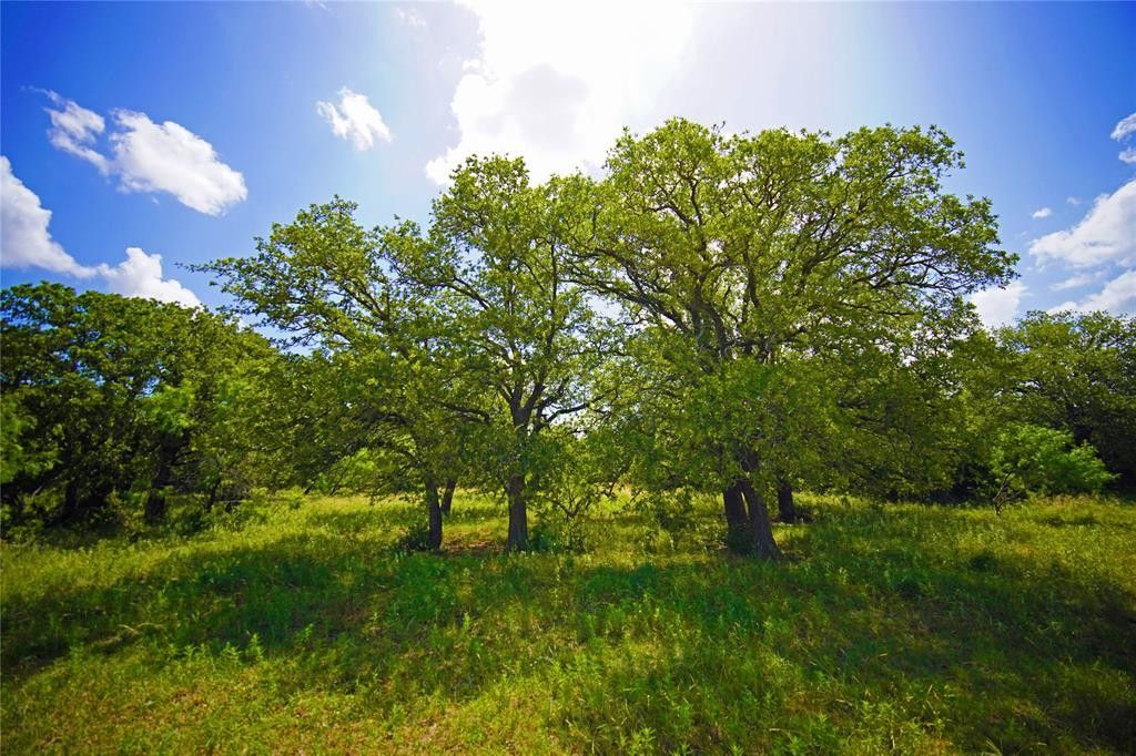 Jacksboro, Jack County, TX Farms and Ranches for sale Property ID