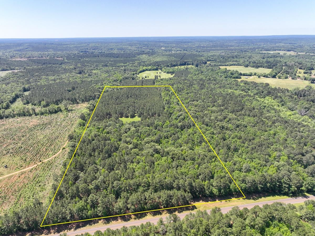 Mount Enterprise, Rusk County, TX Recreational Property, Timberland