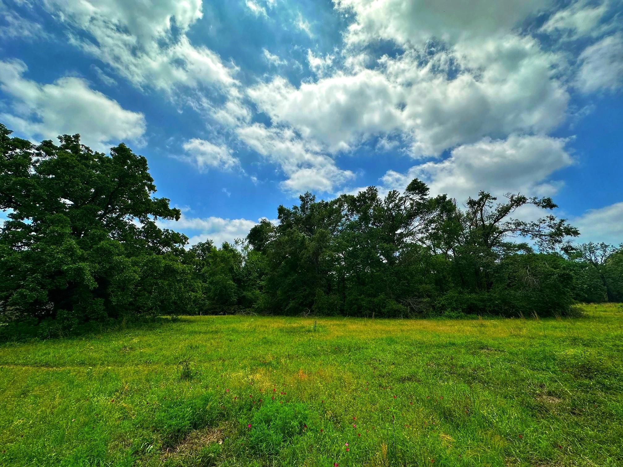 Centerville, Leon County, TX Recreational Property for sale Property ID