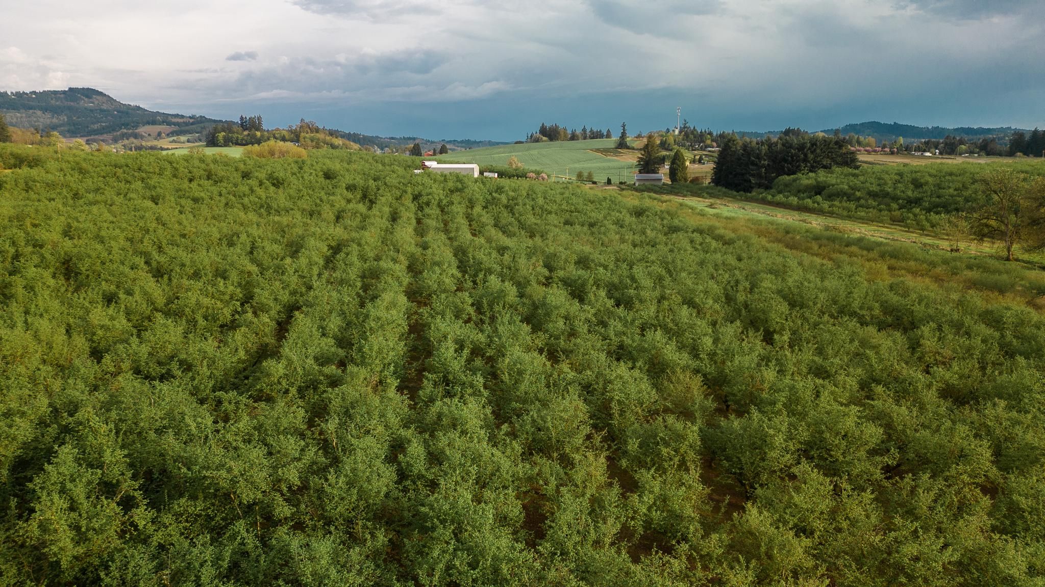 11706 SW Spring Hill RD, Gaston, OR 97119 MLS 23014634 LandWatch