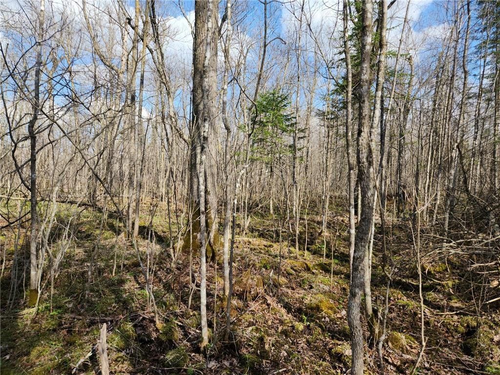 Grasston, Pine County, MN Farms and Ranches, Lakefront Property