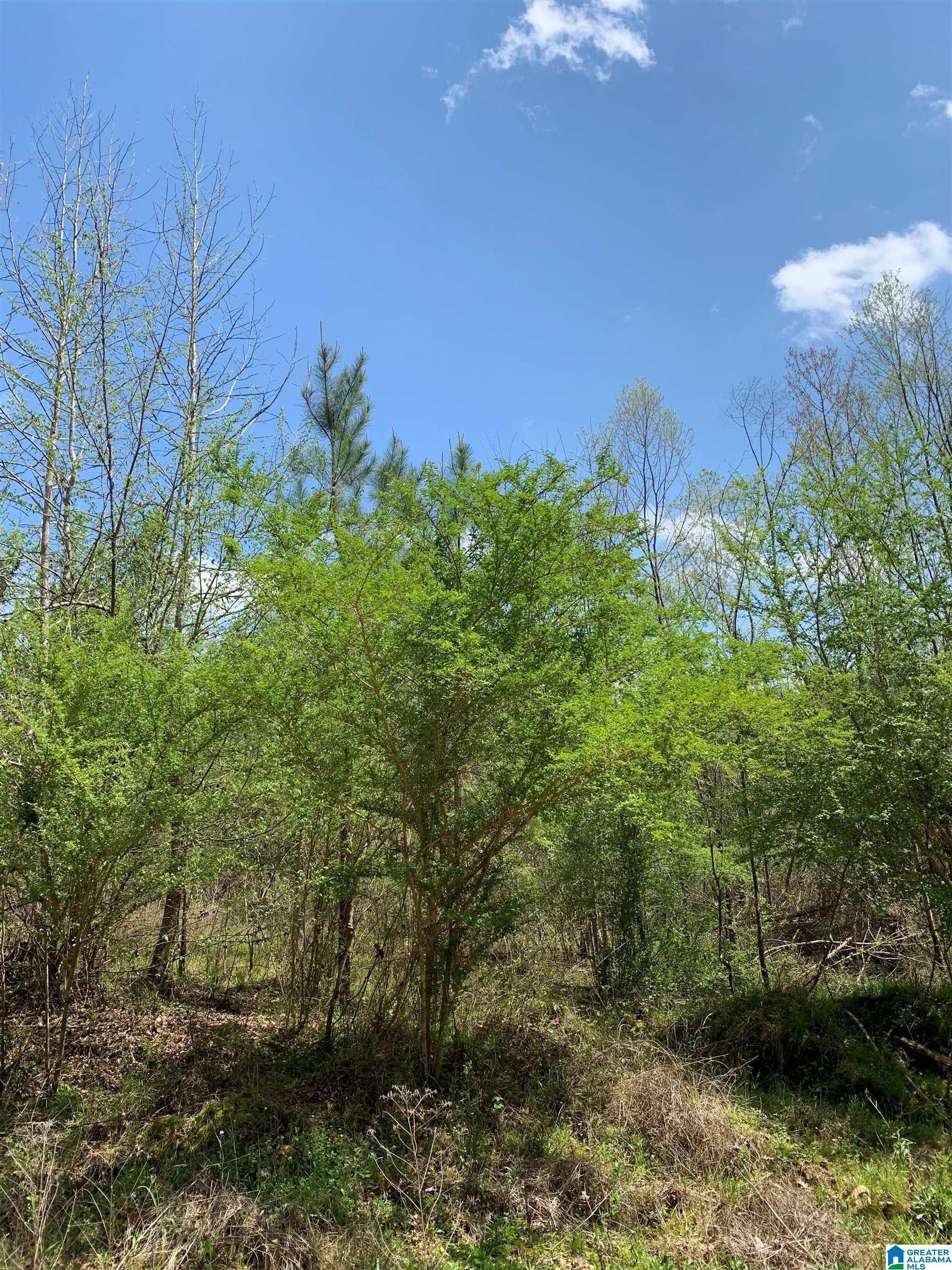 Brierfield, Bibb County, AL Undeveloped Land for sale Property ID