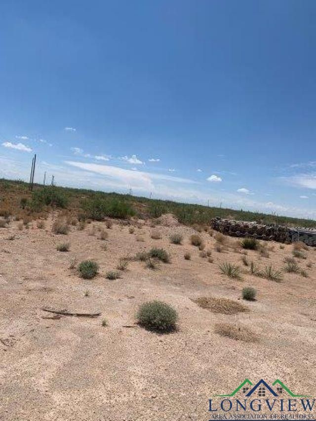 Pyote, Ward County, TX Farms and Ranches for sale Property ID