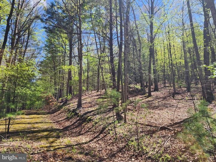 Mathias, Hardy County, WV Recreational Property, Homesites for sale
