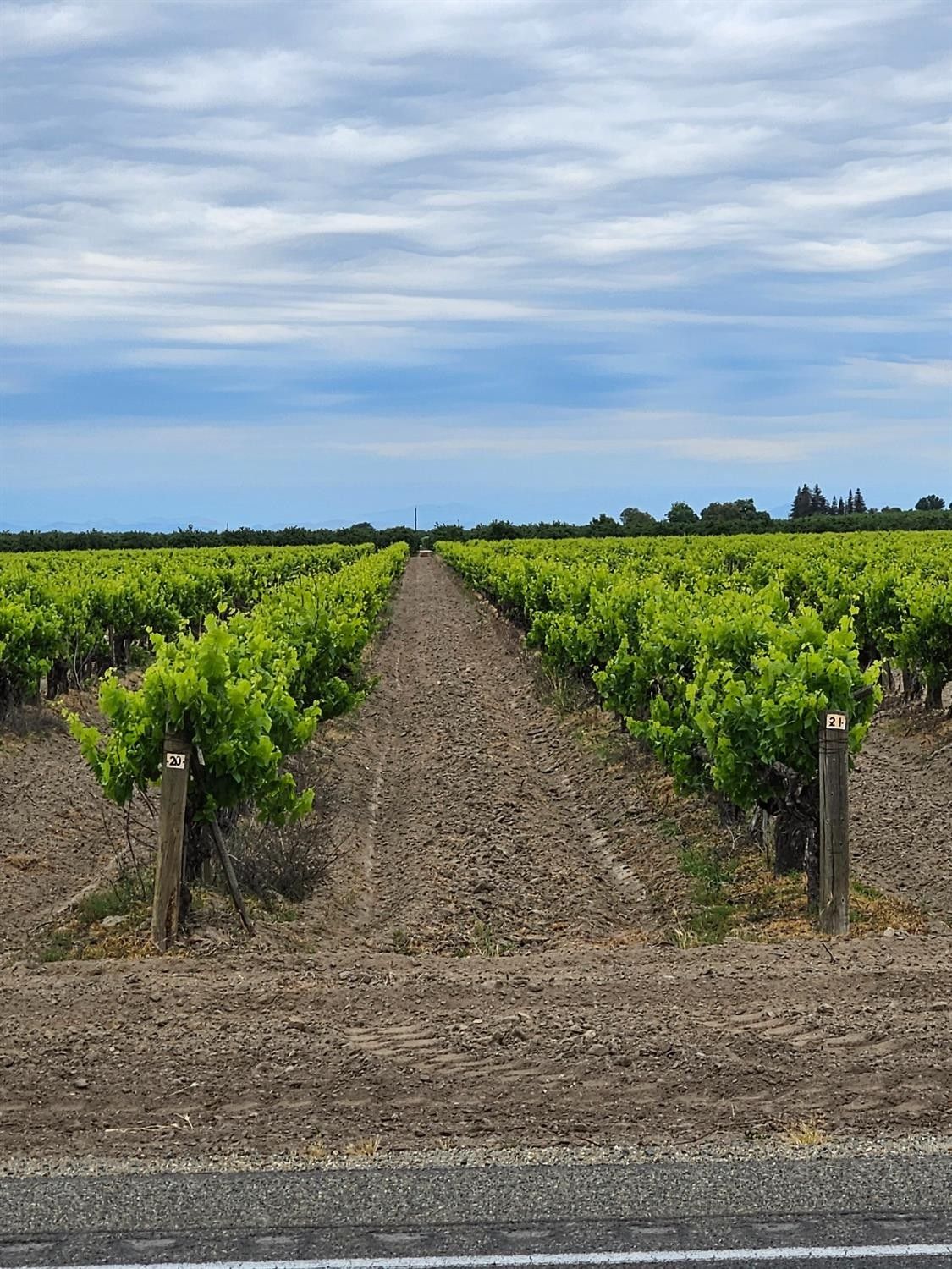 Madera, Madera County, CA Farms and Ranches for sale Property ID