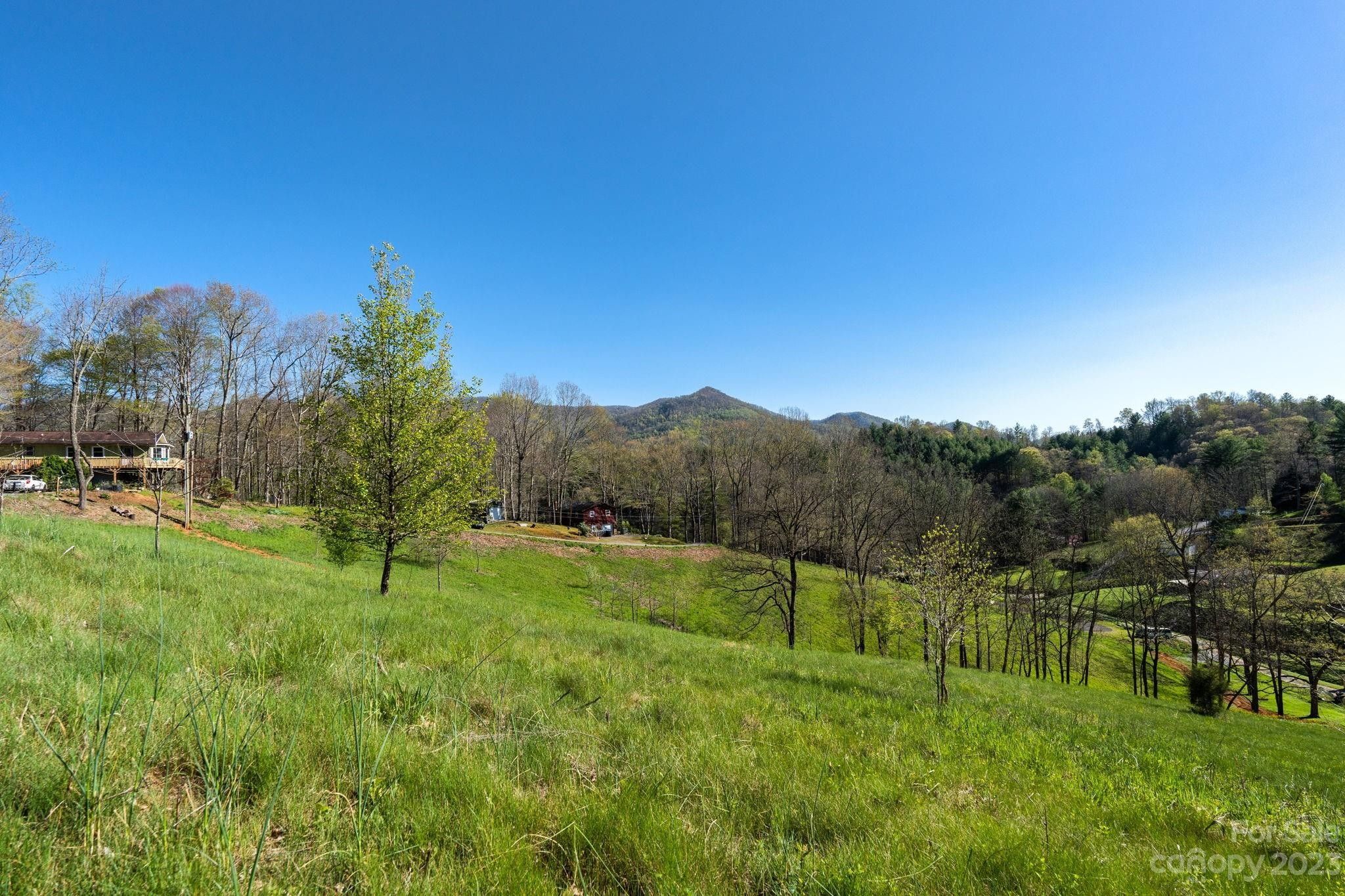 Burnsville, Yancey County, NC Farms and Ranches, Homesites for sale