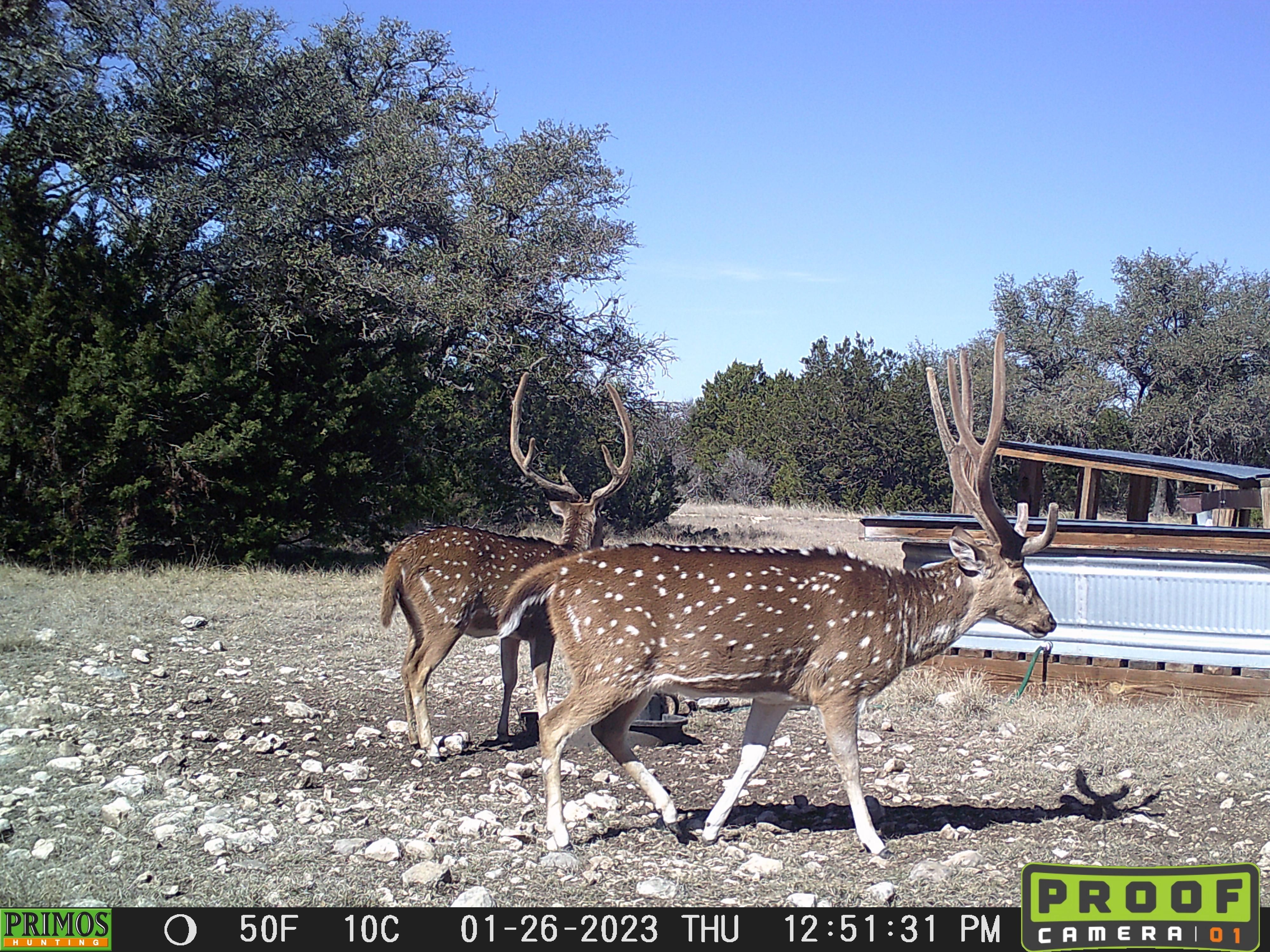 Rocksprings, Edwards County, TX Farms and Ranches, Recreational