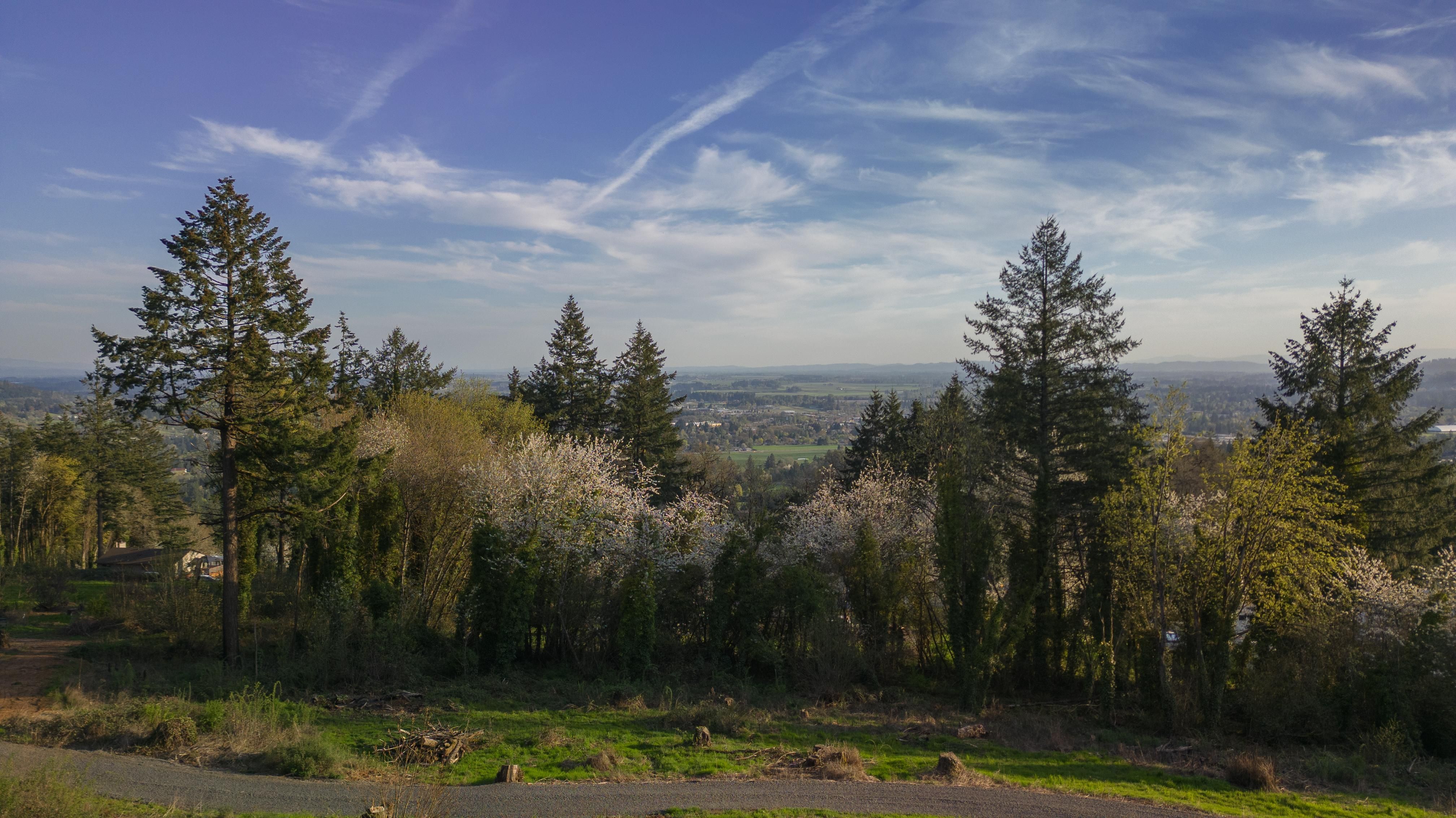 Newberg, Yamhill County, OR House for sale Property ID 416422072