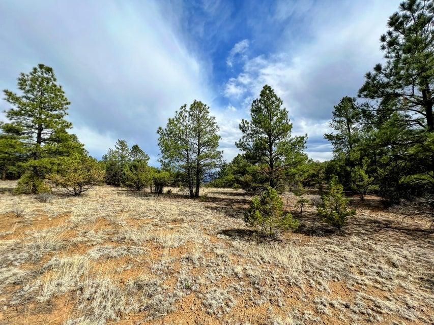 Weston, Las Animas County, CO Undeveloped Land, Homesites for sale