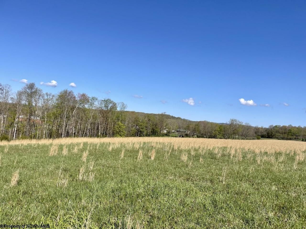 Bruceton Mills, Preston County, WV Farms and Ranches for sale Property