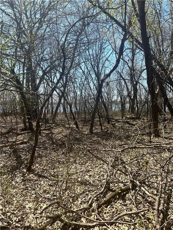 Willmar, Kandiyohi County, MN Farms and Ranches, Lakefront Property