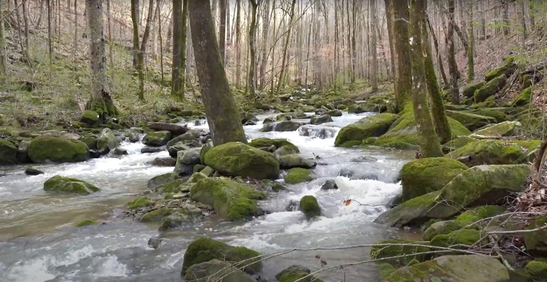 Baileyton, County, AL Recreational Property, Undeveloped Land